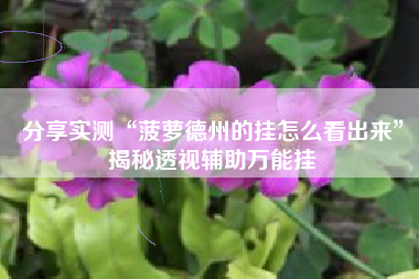 分享实测“菠萝德州的挂怎么看出来	”揭秘透视辅助万能挂
