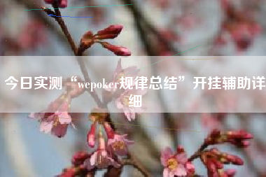 今日实测“wepoker规律总结	”开挂辅助详细