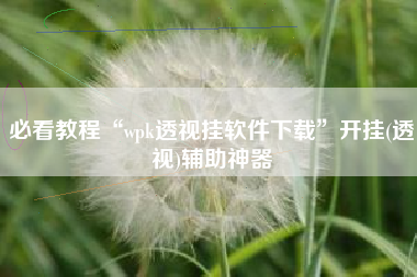 必看教程“wpk透视挂软件下载”开挂(透视)辅助神器