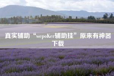 真实辅助“wepoKer辅助挂”原来有神器下载