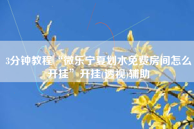 3分钟教程“微乐宁夏划水免费房间怎么开挂”开挂(透视)辅助