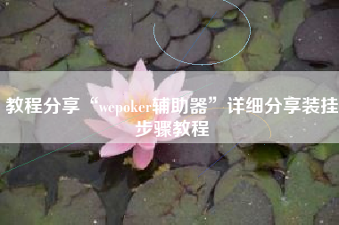 教程分享“wepoker辅助器”详细分享装挂步骤教程