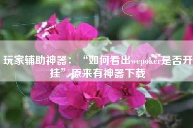 玩家辅助神器：“如何看出wepoker是否开挂”原来有神器下载