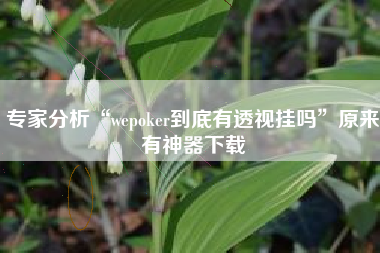 专家分析“wepoker到底有透视挂吗”原来有神器下载
