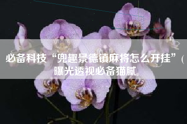 必备科技“兜趣景德镇麻将怎么开挂”(曝光透视必备猫腻