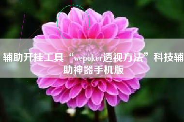辅助开挂工具“wepoker透视方法”科技辅助神器手机版