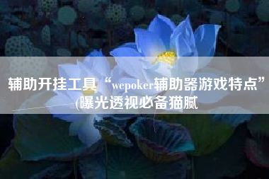 辅助开挂工具“wepoker辅助器游戏特点”(曝光透视必备猫腻