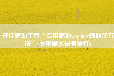 开挂辅助工具“专用辅助wepoker辅助器方法”(原来确实是有插件)