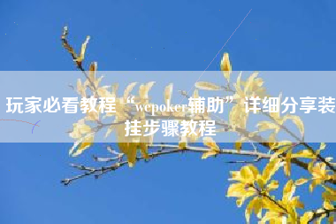 玩家必看教程“wepoker辅助”详细分享装挂步骤教程