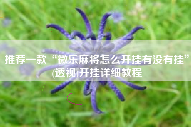 推荐一款“微乐麻将怎么开挂有没有挂”(透视)开挂详细教程