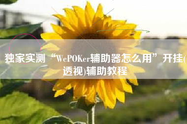 独家实测“WePOKer辅助器怎么用	”开挂(透视)辅助教程