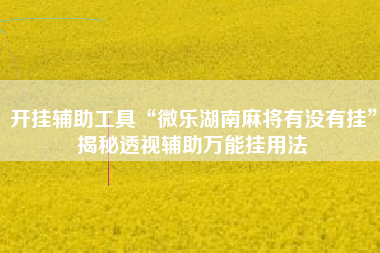 开挂辅助工具“微乐湖南麻将有没有挂”揭秘透视辅助万能挂用法