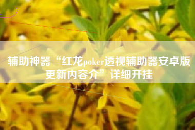 辅助神器“红龙poker透视辅助器安卓版更新内容介”详细开挂