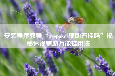 安装程序教程“we-poker辅助有挂吗”揭秘透视辅助万能挂用法