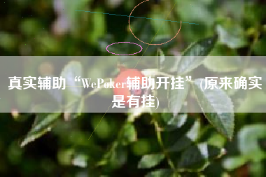 真实辅助“WePoker辅助开挂”(原来确实是有挂)