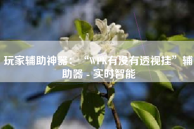 玩家辅助神器：“WPK有没有透视挂	”辅助器 - 实时智能