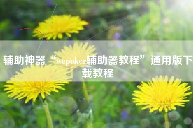 辅助神器“wepoker辅助器教程	”通用版下载教程