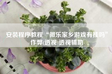 安装程序教程“微乐家乡游戏有挂吗	”作弊(透视)透视辅助