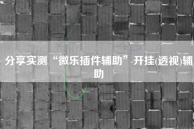 分享实测“微乐插件辅助	”开挂(透视)辅助