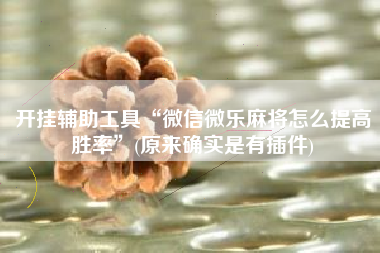 开挂辅助工具“微信微乐麻将怎么提高胜率	”(原来确实是有插件)