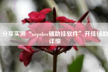 分享实测“wepoker辅助挂软件	”开挂辅助详细