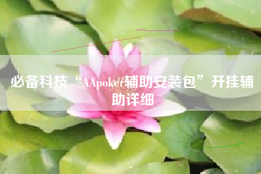 必备科技“AApoker辅助安装包”开挂辅助详细