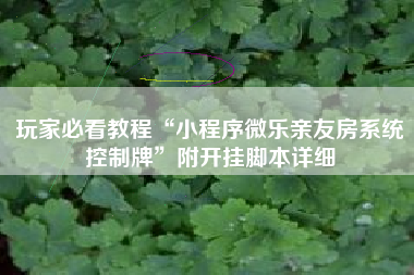 玩家必看教程“小程序微乐亲友房系统控制牌”附开挂脚本详细