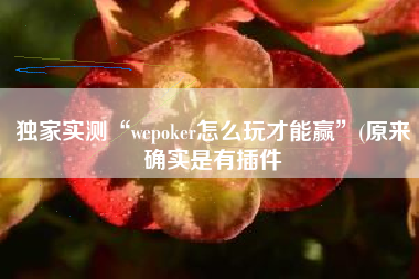 独家实测“wepoker怎么玩才能赢”(原来确实是有插件
