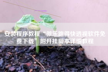 安装程序教程“微乐跑得快透视软件免费下载	”附开挂脚本详细教程