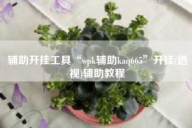 辅助开挂工具“wpk辅助kaq665”开挂(透视)辅助教程
