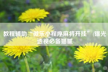 教程辅助“微乐小程序麻将开挂	”(曝光透视必备猫腻