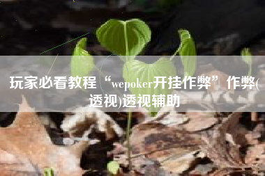 玩家必看教程“wepoker开挂作弊”作弊(透视)透视辅助