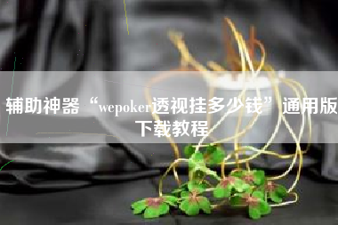 辅助神器“wepoker透视挂多少钱”通用版下载教程