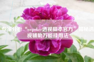 专家分析“wepoker透视脚本官方	”揭秘透视辅助万能挂用法