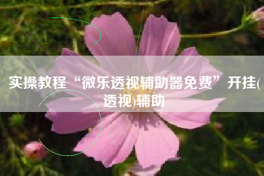 实操教程“微乐透视辅助器免费	”开挂(透视)辅助
