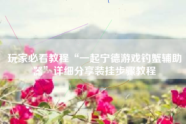 玩家必看教程“一起宁德游戏钓蟹辅助器”详细分享装挂步骤教程