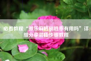 必看教程“微乐麻将刷胜率有用吗	”详细分享装挂步骤教程