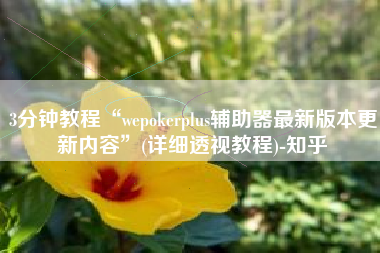 3分钟教程“wepokerplus辅助器最新版本更新内容”(详细透视教程)-知乎