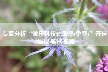 专家分析“微乐科技辅助器(免费)	”开挂(透视)辅助神器