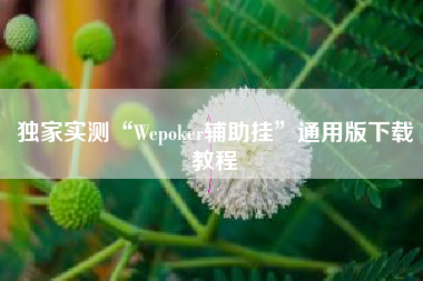 独家实测“Wepoker辅助挂	”通用版下载教程
