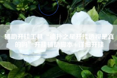 辅助开挂工具“德扑之星开挂透视是真的吗”开挂辅助脚本+详细开挂