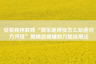安装程序教程“微乐跑得快怎么知道对方开挂”揭秘透视辅助万能挂用法