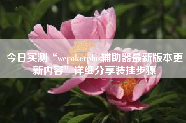 今日实测“wepokerplus辅助器最新版本更新内容	”详细分享装挂步骤