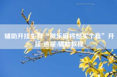 辅助开挂工具“微乐麻将想买个挂”开挂(透视)辅助教程
