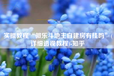 实操教程“微乐斗地主自建房有挂吗”(详细透视教程)-知乎