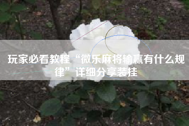 玩家必看教程“微乐麻将输赢有什么规律	”详细分享装挂
