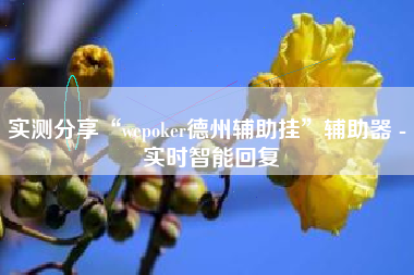 实测分享“wepoker德州辅助挂	”辅助器 - 实时智能回复