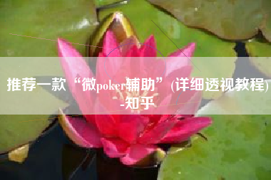 推荐一款“微poker辅助	”(详细透视教程)-知乎