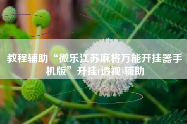 教程辅助“微乐江苏麻将万能开挂器手机版	”开挂(透视)辅助