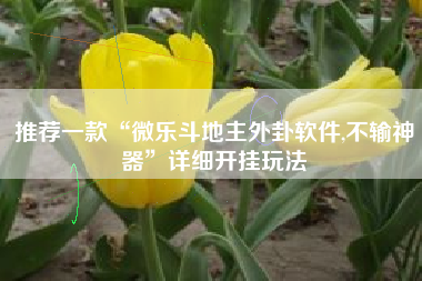 推荐一款“微乐斗地主外卦软件,不输神器”详细开挂玩法